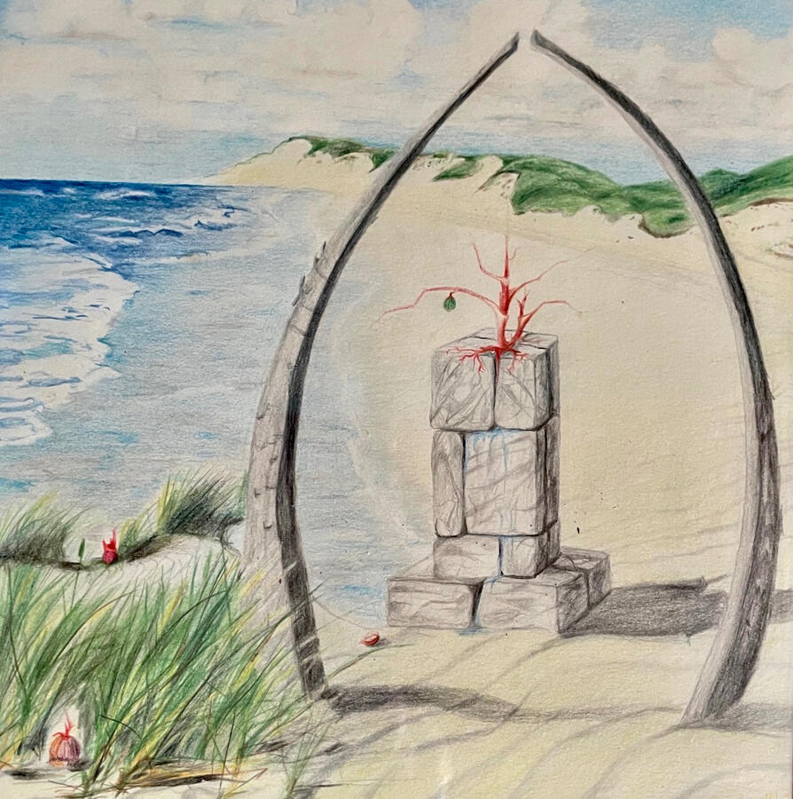 Föhr 20 x 20 cm