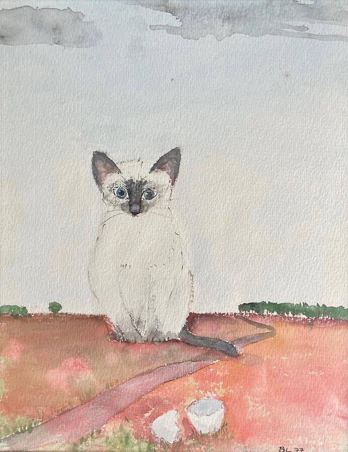 Andu 22 x 30 cm