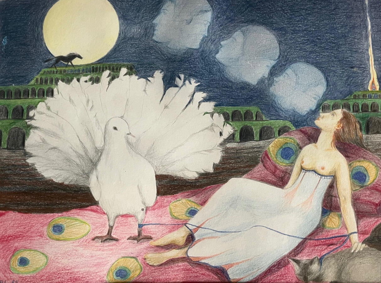 Taubenfrau 20 x 28 cm