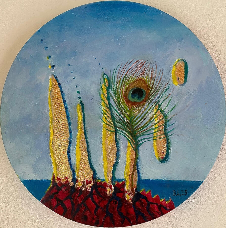 Pfauenfeder 30 cm